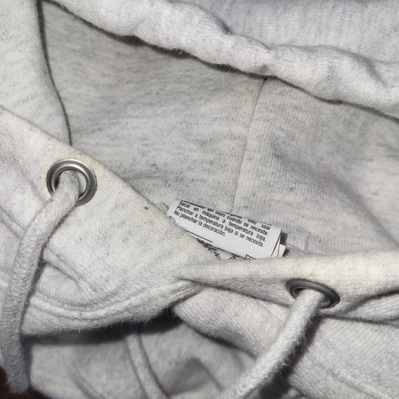 Champion Princeton Reverse Weave Hoodie Size Small Light Gray - Picture 2 of 12